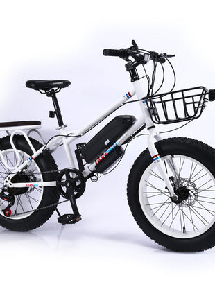 CRONY 22 inch sand electric vehicle Outdoor desert riding electric bicycle | Green