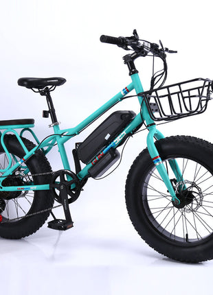 CRONY 22 inch sand electric vehicle Outdoor desert riding electric bicycle | Green