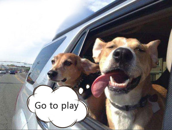 Pet Car Seat Mat -29 EAFC Pet Car Seat Mat Oxford Backseat Covers Mat Waterproof Back Bench Seat Car Interior Travel Accessories