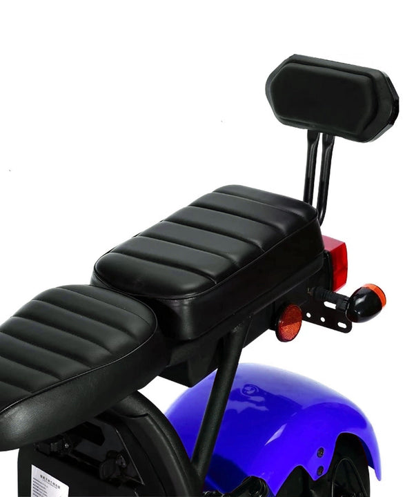 CRONY G-029 3000W Electric Motorcycle Motorbike High Speed Harley tyre Double Seat with double battery | Blue