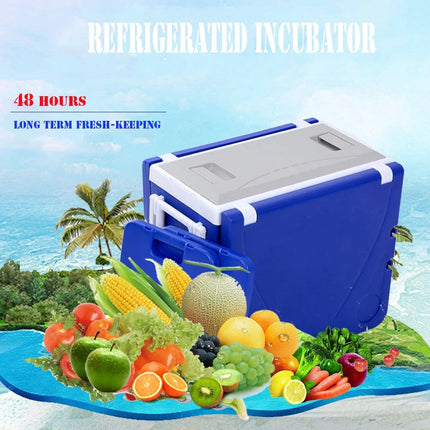 CRONY 28L two-chair plastic incubator with desk and chair Multi-function picnic table with cooling incubator | Blue