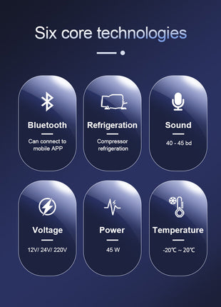 CRONY Car Refrigerator 22L/C22 Custom fridge small car fridge freezers refrigerator outdoor  12v compressor fridge